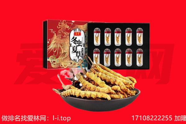 荷塘区回收虫草.jpg